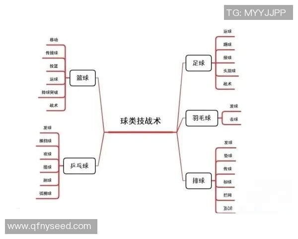 北京篮球队在锦标赛中的战术分析与表现评估探讨